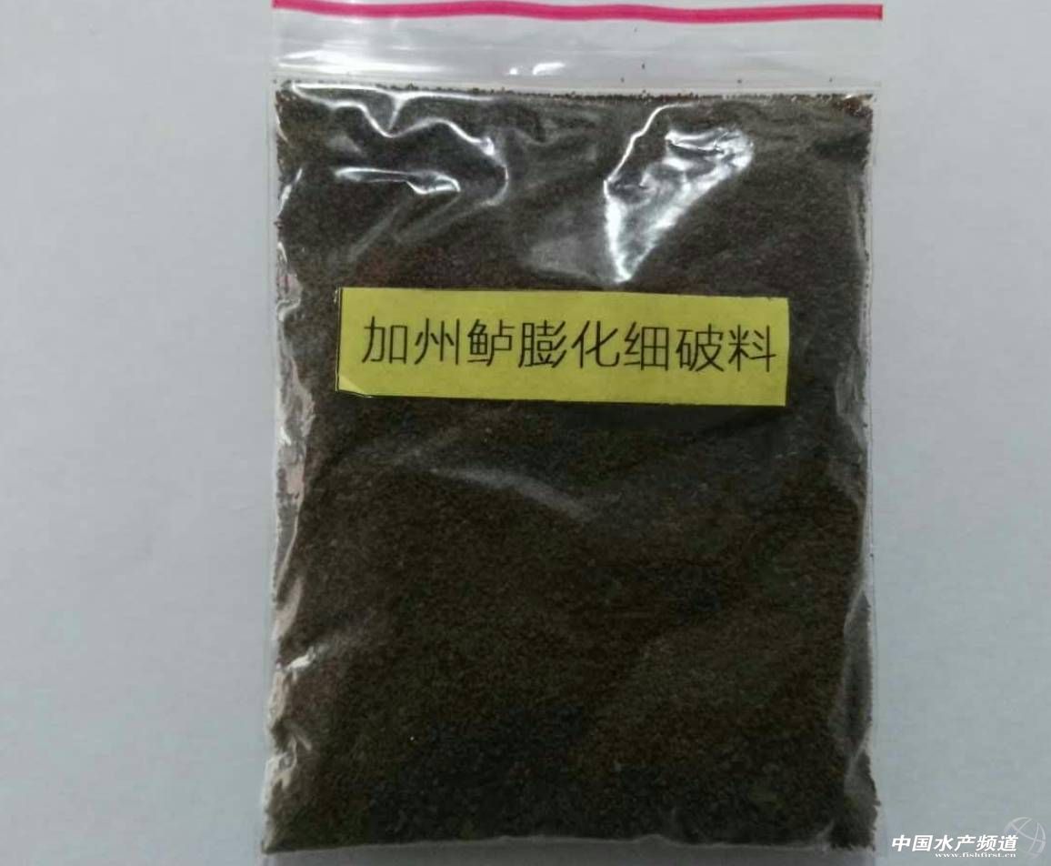 加州鱸要這樣養，教你一個能比別人多賺3元/斤的法子，簡單易上手