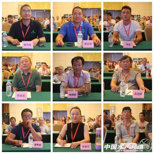 昨天加州鱸行業發生一件大事！有人揭秘火爆的背后竟然是這樣……